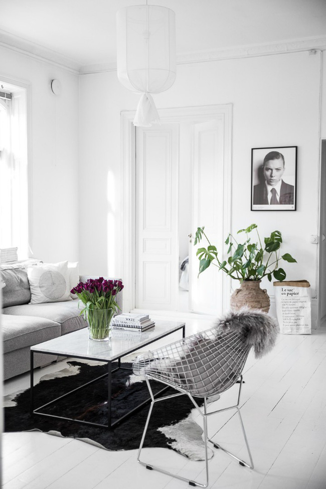  Khu vực phòng khách được bài trí nổi bật với thảm đen, hoa thẫm màu và cây xanh.