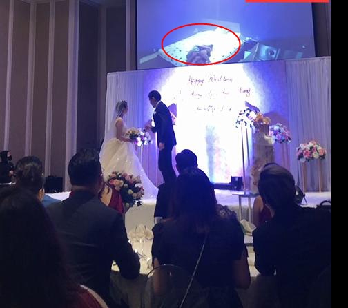 Cảnh nóng của cô dâu và anh rể bạn trai được công khai trong ngày cưới.