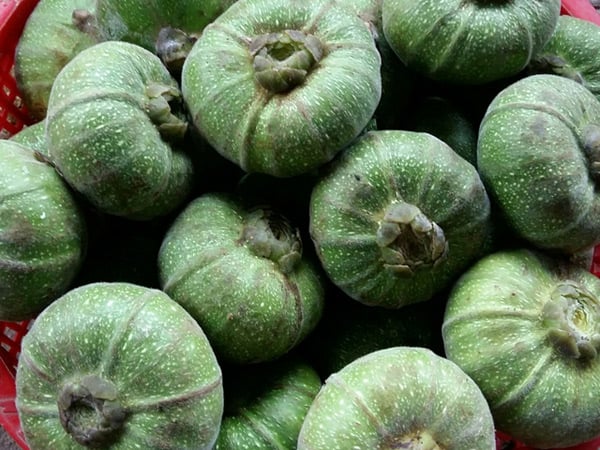  Trái vả chứa giá trị dinh dưỡng cao, mang lại nhiều ích lợi cho sức khỏe của con người - Ảnh minh họa: Internet