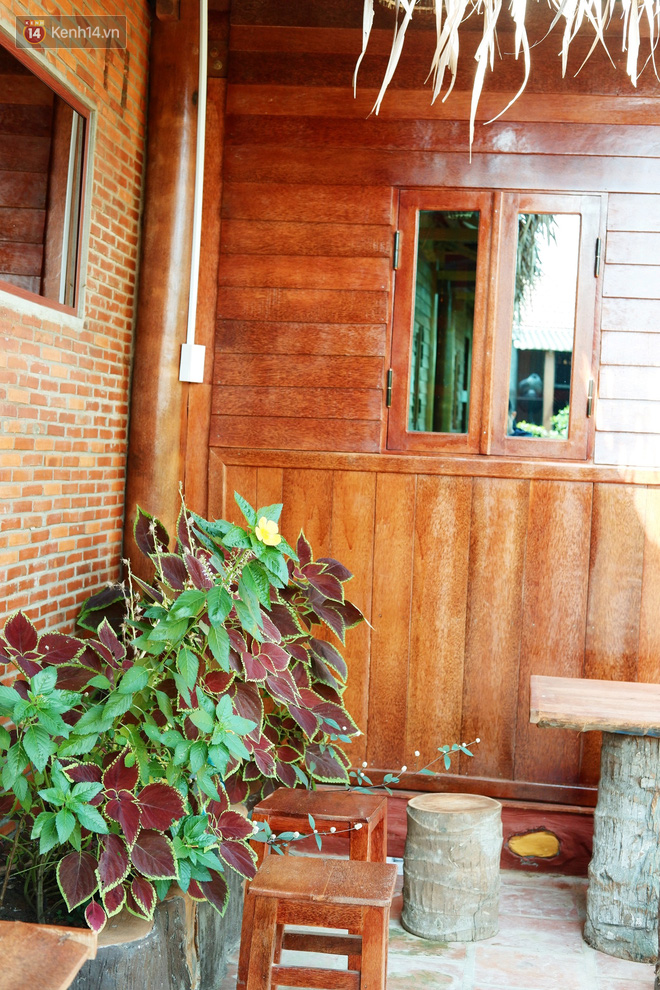  Không gian căn nhà với 95% chất liệu bằng cây dừa của vợ chồng ông Thưởng trước thềm năm mới.