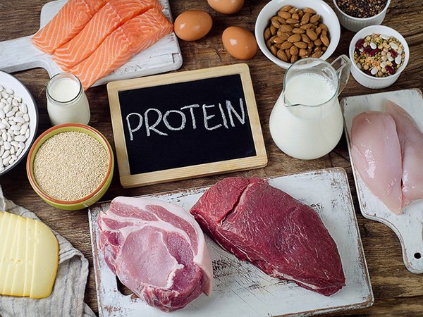  Các loại thực phẩm giàu protein gồm thịt, cá, trứng, rất nhiều sản phẩm từ sữa, các loại đậu, các loại hạt.