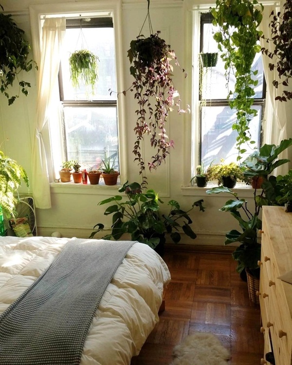  Nhiều loại cây không nên đặt trong phòng ngủ.