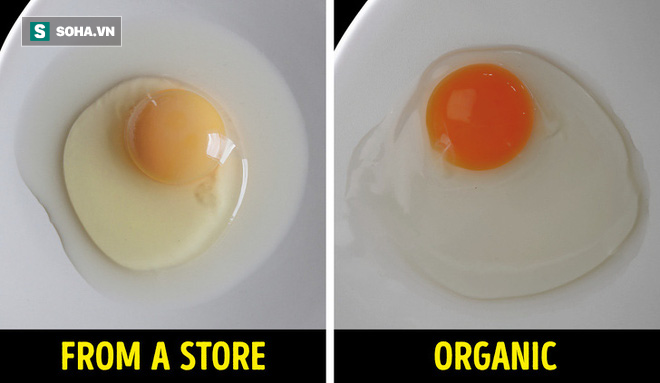  Trước khi bạn mua trứng, hãy mở hộp và thử kiểm tra trực quan xem. Độ mỏng của vỏ trứng có thể chỉ ra sự hiện diện của các loại vi khuẩn. Nếu trứng bị bột, có thể đó là nấm mốc.