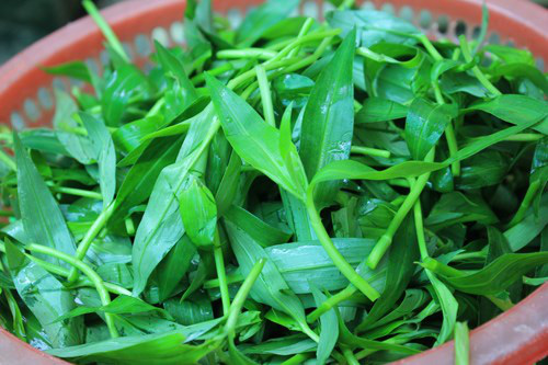 Ít ai ngờ rằng, loài rau này có thể chế biến thành món canh ngọt mát