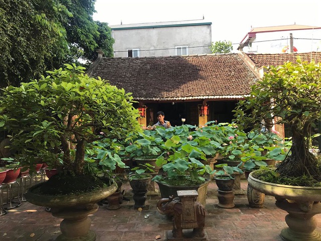  Nằm cách trung tâm Hà Nội khoảng 20km, nhà vườn theo lối truyền thống Bắc Bộ của gia đình ông Tạ Hồng Điệp ( SN 1957, Thường Tín, Hà Nội) bình yên, tách biệt hẳn với sự xô bồ của phố thị.