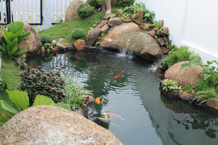 Với những hồ cá ngoài trời, bạn có thể thiết kế dạng tiểu cảnh với hình dáng uốn lượn, tùy thuộc vào vị trí đặt.