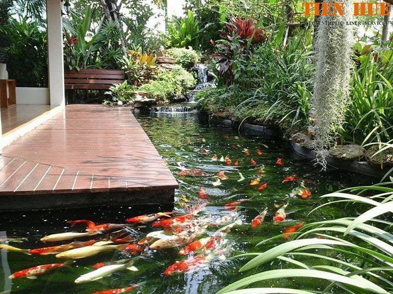 Hồ cá trở thành điểm nhấn ấn tượng cho khu vực ngoại thất.