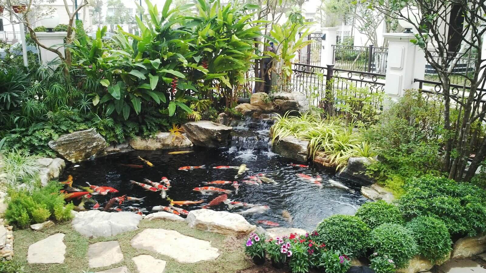 Hồ cá đặt ngay ở phía trước nhà tạo không gian mát mắt.