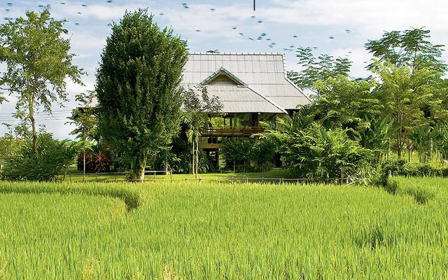  Tọa lạc tại ngoại thành Chiang Mai, Thái Lan, ngôi nhà có tên Phuna nổi bật bởi nằm giữa khung cảnh thiên nhiên yên bình, mộc mạc của cánh đồng lúa. 