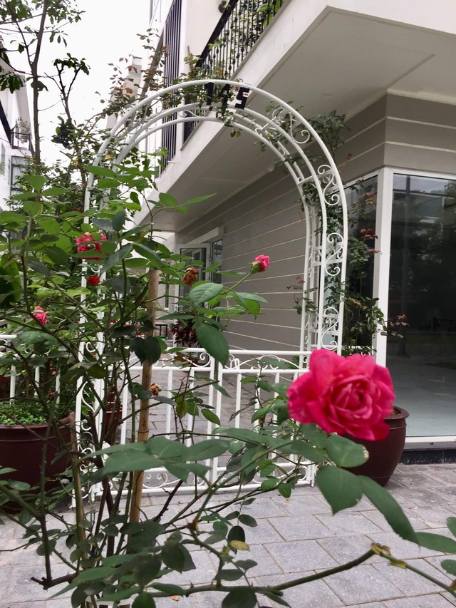  Cổng vào nhà thiết kế hình vòm, màu trắng tinh tế được chị Hằng trồng thêm hoa hồng. 