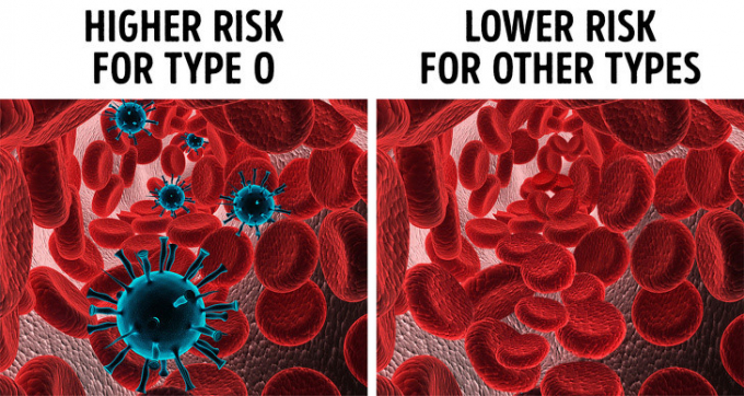 Rủi ro về sức khỏe: Những người có nhóm máu O có thể dễ bị nhiễm trùng do vi khuẩn và virus hơn các nhóm máu khác, bao gồm những người nặng như dịch hạch, dịch tả, quai bị và bệnh lao. Một số nghiên cứu cũng cho thấy rằng các cá nhân nhóm máu O có tỷ lệ loét tá tràng cao hơn 35% so với những người có nhóm máu A, B và AB