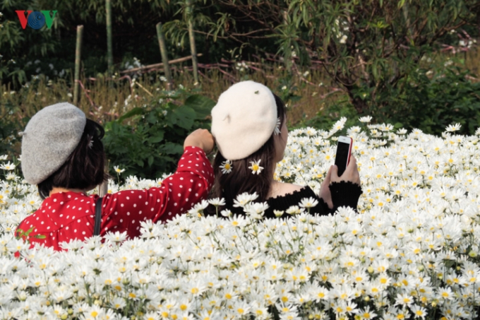Nhiều bạn trẻ vào vườn chụp hình với hoa bằng điện thoại.