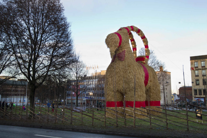 Dê Yule (Thụy Điển): Dê Yule là một trong những truyền thống Giáng sinh lâu đời của vùng Scandinavia và Bắc Âu. Ban đầu, con dê giống như một vị khách đến xem các lễ mừng đã kết thúc hay chưa, nhưng theo thời gian, trở thành một hình tượng giống như Santa và đi phát quà vào đêm Giáng sinh. Ngày nay, ở Thụy Điển, những bức tượng dê bằng rơm được dựng ở các thành phố khắp nước. Ảnh: Thelocal.