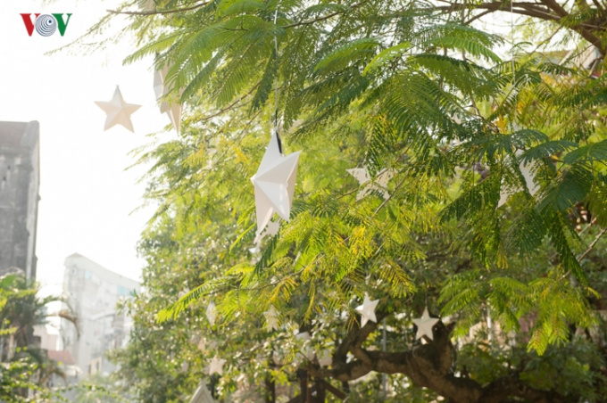 Những chiếc đèn ngôi sao được treo trên cành cây, tạo cảm giác ấm áp khi màn đêm buông xuống.