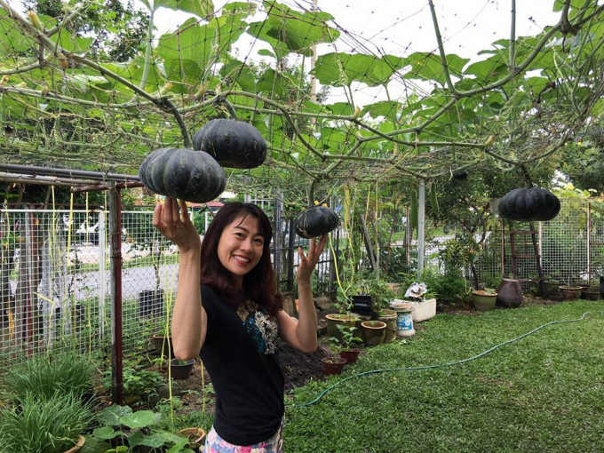 Chị Huỳnh Diễm Ly hiện đang sinh sống cùng gia đình chồng tại Jorho Bahru, bang Johor, Malaysia. Với niềm đam mê làm vườn, chị đã giành 150m2 đất để trồng đủ loại rau đặc trưng của Việt Nam.