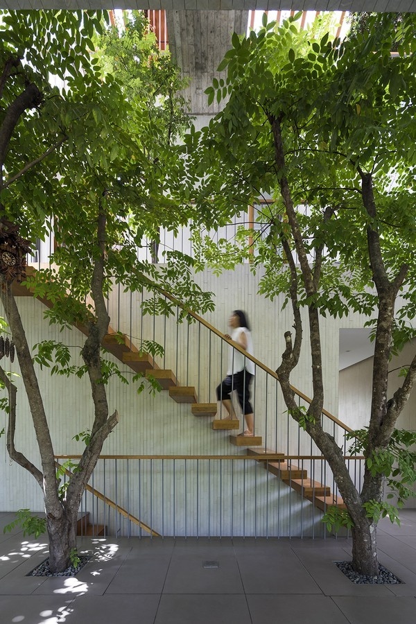 Tất cả các cầu thang đều bằng gỗ, tạo cảm giác gần gũi, thô mộc phù hợp với thiết kế chung mang hơi hướng thiên nhiên của ngôi nhà.