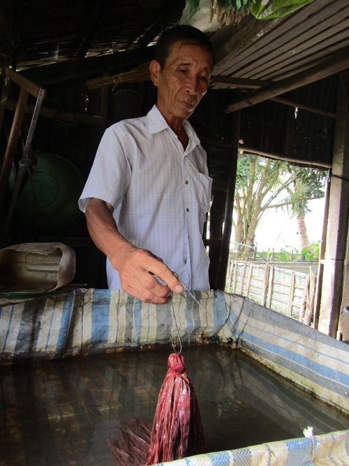 Ông Nguyễn Văn Quang bên 1 bể nuôi lươn giống.