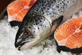  Cá hồi giàu axit béo omega-3 là 1 trong 10 thực phẩm tốt cho mắt - Ảnh minh họa: Internet
