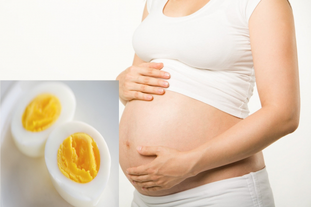 Mẹ bầu ăn quá nhiều trứng ngỗng có thể bị mỡ máu, thừa cân béo phì. Ảnh minh họa