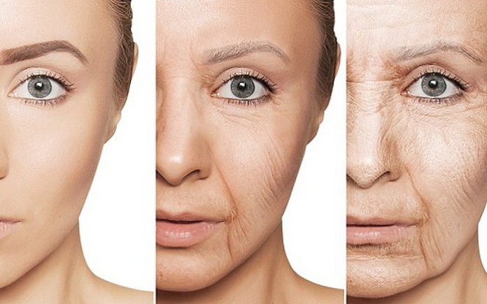  Khi da bị lão hoá có nghĩa lượng collagen trong cơ thể đã bị giảm, khiến da mất độ đàn hồi tạo nên những nếp nhăn trên gương mặt - Ảnh minh họa: Internet
