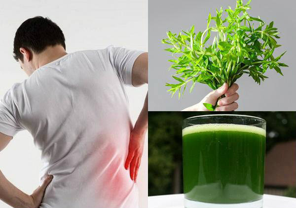 Những người bị viêm khớp đã có vị cứu tinh là rau ngổ - Ảnh minh họa: Internet