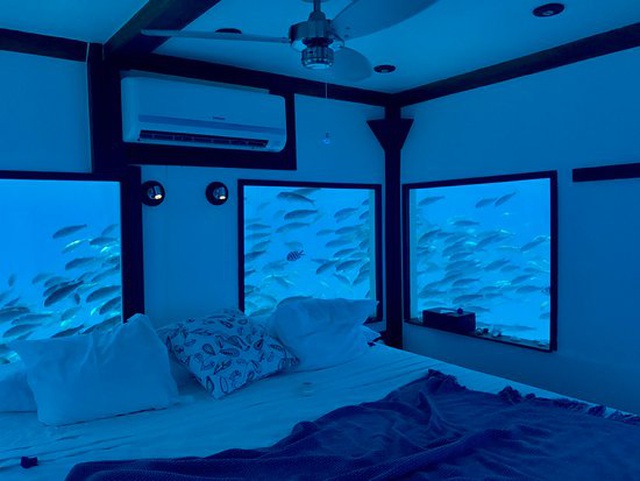  Phòng ngủ được thiết kế nằm hoàn toàn dưới nước