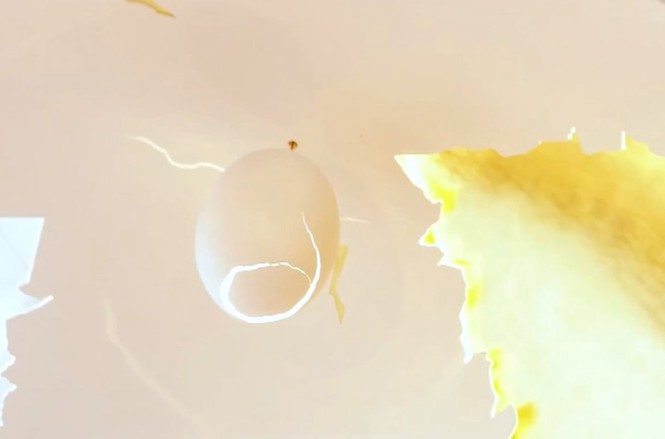  Trên trần nhà có một tác phẩm nghệ thuật hình trứng giá 145.000 USD. (Ảnh: Senada Adzem / Vimeo) 