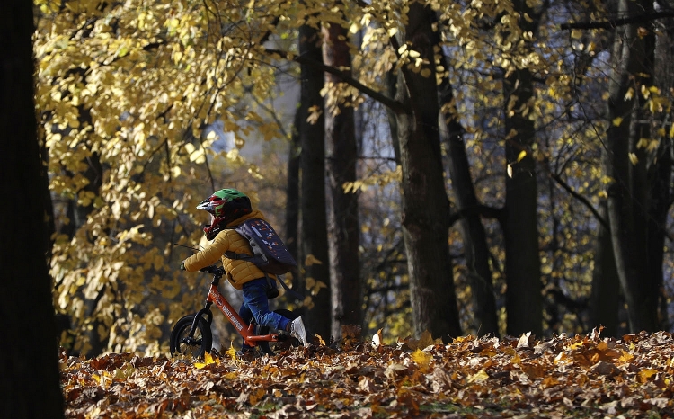  Cậu bé đi xe đạp trong rừng lá thu vàng ở Minsk, Belarus.