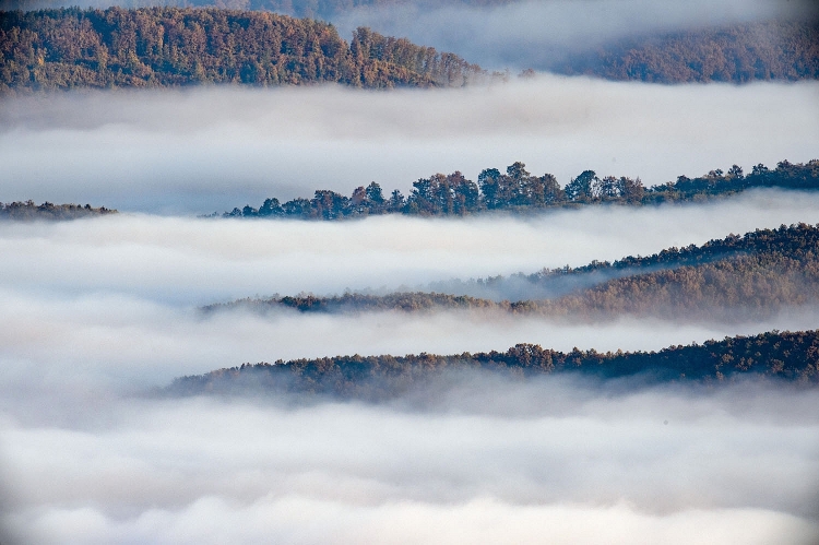  Sớm mùa thu mù sương gần Kekesteto, Hungary.