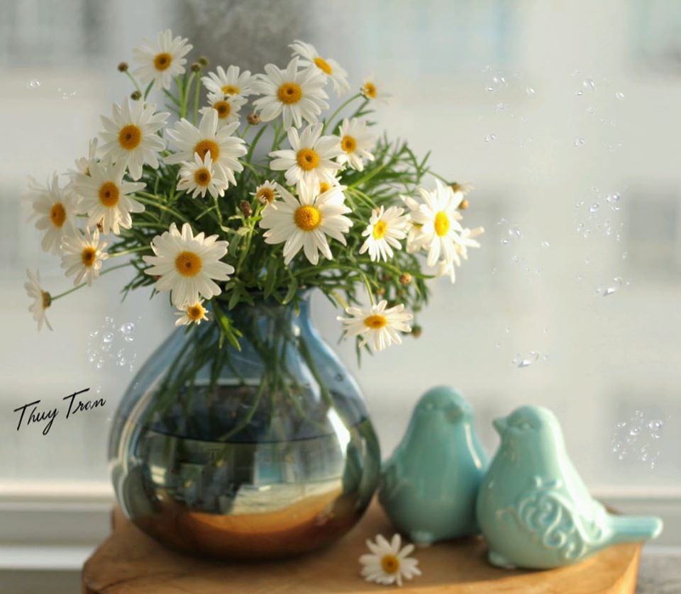  Chẳng cần cầu kỳ, bạn chỉ cần chuẩn bị một bình thủy tinh nhỏ và một bó hoa cúc họa mi là đã có ngay bình hoa cực xinh khiến căn phòng sáng bừng, đầy sức sống.