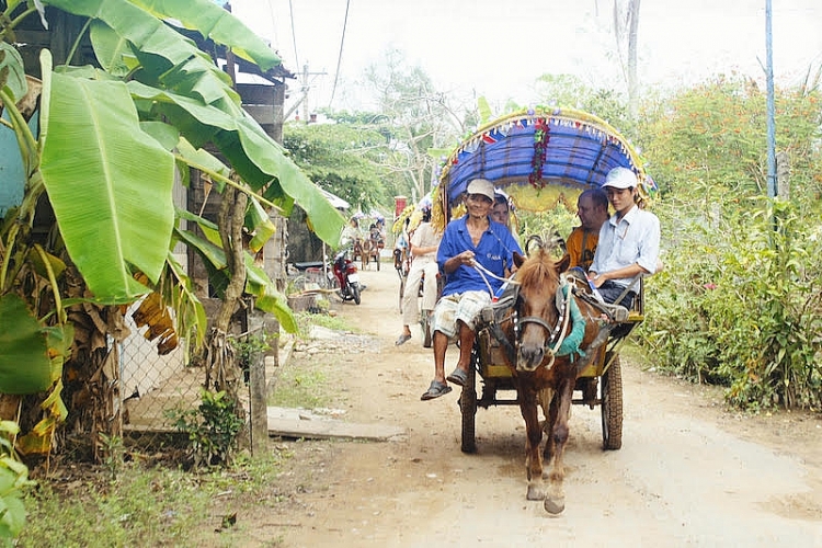  Du khách còn được tham quan một vòng đường làng bằng xe ngựa, một hình thức trải nghiệm chỉ có ở cồn Lân.