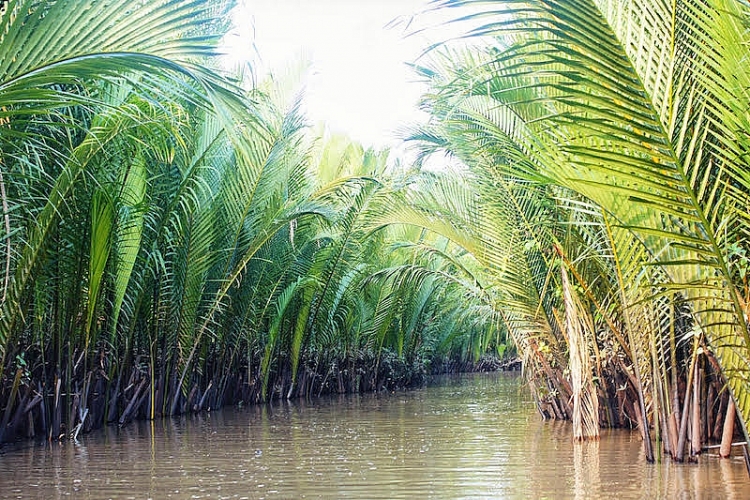 Nhưng điều hấp dẫn nhất đối với du khách cũng là thương hiệu du lịch của cồn Lân chính là dịch vụ trải nghiệm chèo thuyền ba lá len lỏi trong kênh rạch chằng chịt, chui dưới những tán lá xanh rì của hệ thống rừng dừa nước.