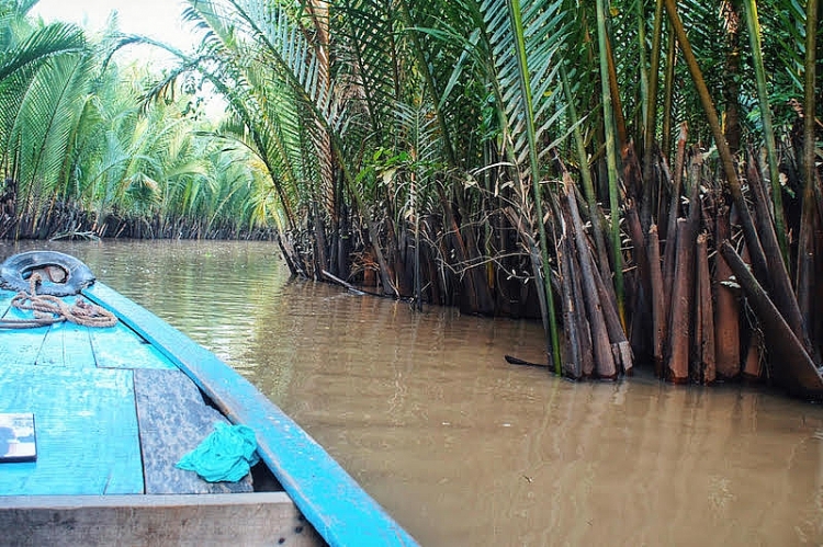  Hình ảnh rừng dừa nước chính là biểu trưng cho du lịch sông Tiền của hai tỉnh Tiền Giang, Bến Tre ngày nay.