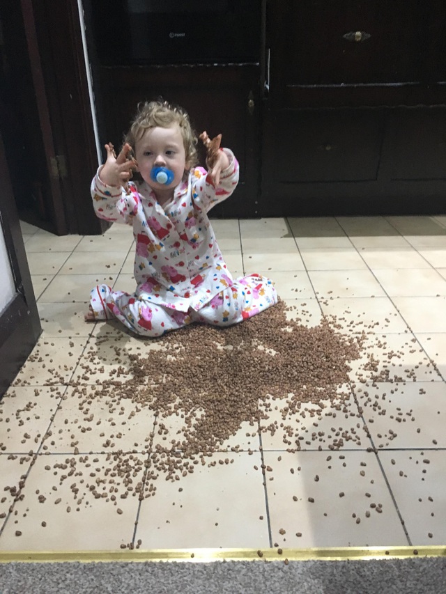  Evelyn 1 tuổi muốn cả sàn nhà cũng được ăn ngũ cốc