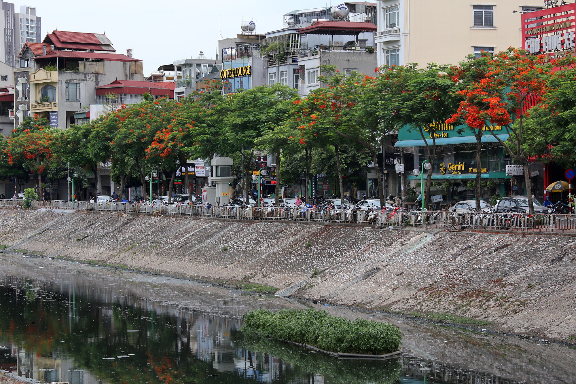  Đây là đoạn đường được trồng cây phượng vĩ nhiều nhất thủ đô. Ngoài ra đường Láng ven sông Tô Lịch cũng được biết đến với hàng cây xà cừ cổ thụ tuyệt đẹp mang lại bóng mát cho người đi đường.