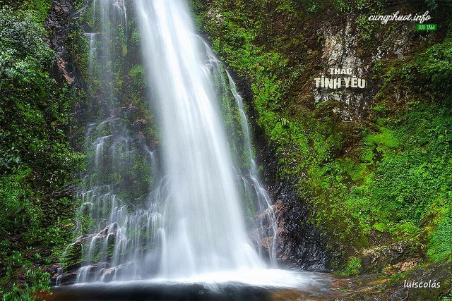  Thác Tình Yêu - Suối Vàng trên núi Hoàng Liên (Sa Pa ) là thắng cảnh đẹp gắn với câu chuyện tình đẹp về nguồn gốc của dòng thác này