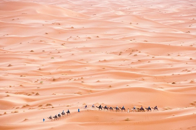  Nhiếp ảnh gia người Croatia - Saša Huzjak thực hiện bức ảnh “Đoàn bộ hành trên sa mạc” chụp tại Erg Chebbi, Morocco.