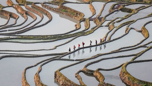  Bức “Đi làm” của nhiếp ảnh gia Sofie Rysheuvels chụp tại Nguyên Dương, Trung Quốc.