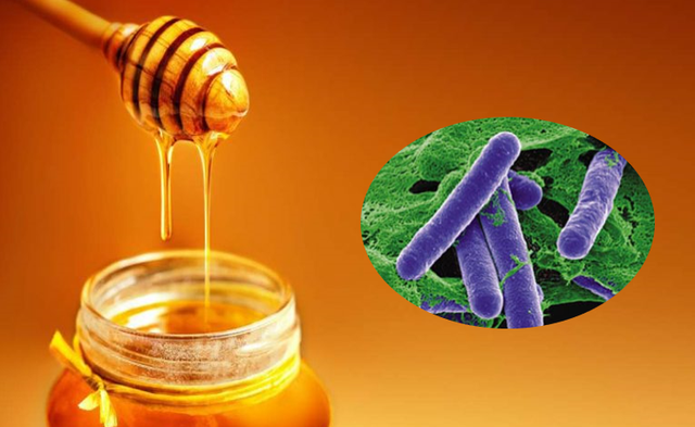  Mật ong có thể chứa bào tử vi khuẩn Clostridium Botulinum
