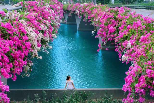  Vẻ đẹp nao lòng của cây cầu hoa giấy bên trong khu đô thị Ecopark.