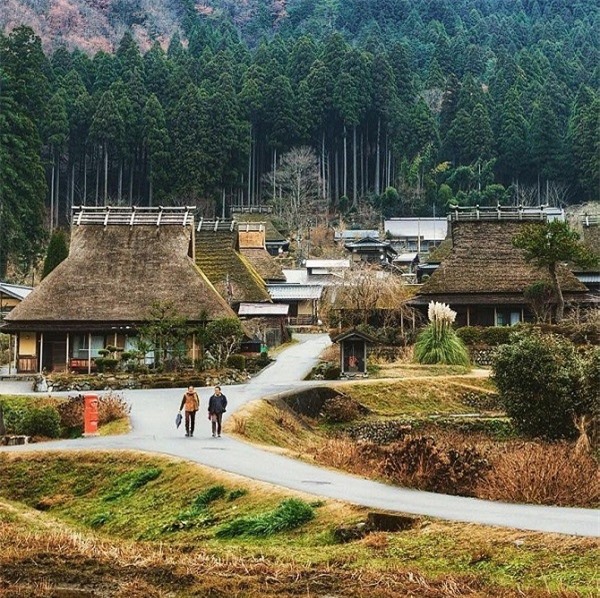  Cung đường đến làng khá hiểm trở, không phát triển giao thông nên hiếm du khách tìm đến, nơi đây giữ gìn nguyên vẹn khung cảnh hoang sơ. Năm 1993, Miyama Kayabuki, với cánh đồng lúa và rừng xung quanh, trở thành khu vực bảo tồn của Nhật. Ảnh:Traveljapan.
