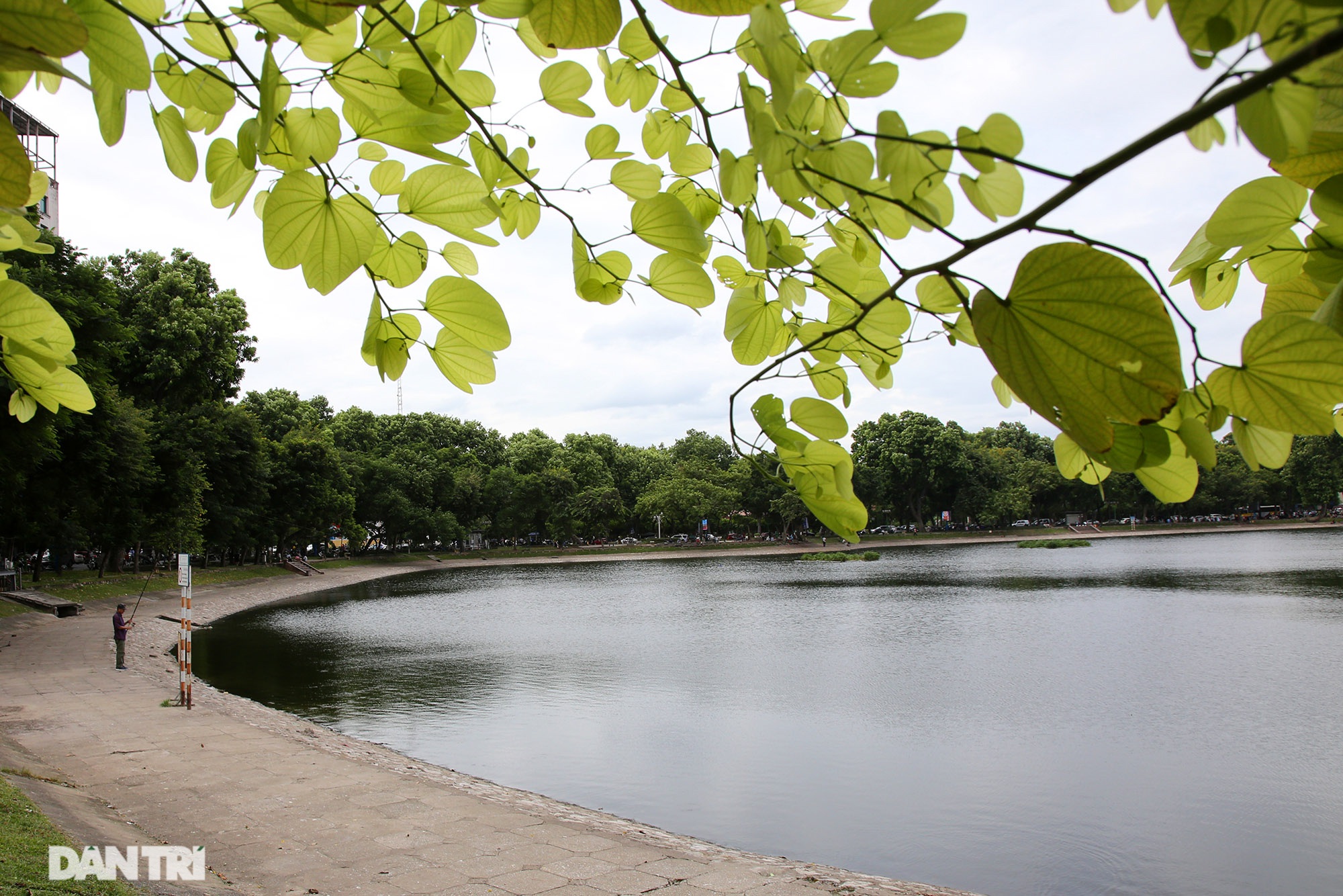  Không gian xanh mát mẻ bên hồ Thiền Quang.