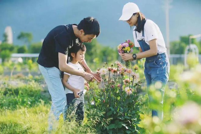  Hàng ngày các thành viên trong gia đình cùng chăm vườn cây, hoa lá