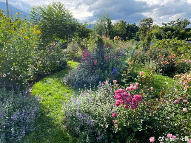  Hai người thiết kế vườn thành các khoảng không gian như vườn hồng, vườn cẩm tú cầu, vườn các loại hoa, rau…
