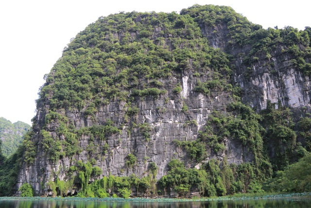  Mùa thu, ở Tràng An vẫn còn những đầm sen xanh ngút ngàn dưới chân núi tạo nên sự cuốn hút du khách mà ít nơi nào có được.