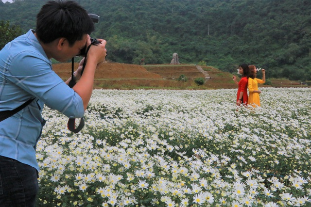  Nhiều thợ chụp ảnh, hay các nhiếp ảnh gia cũng đổ về vườn hoa cúc để chụp những bức ảnh để đời tại vườn cúc duy nhất trong vùng di sản.