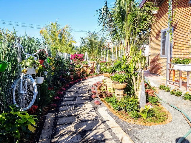  Khuôn viên trước cửa nhà được trồng cây và hoa, trang trí bắt mắt. Khu vực tường rào được tận dụng để treo các giỏ hoa. Gia chủ sơn lại hai chiếc xe đạp cũ, làm thành tiểu cảnh nhỏ trang trí cho khu vườn.