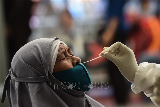  Lấy mẫu xét nghiệm cho người dân ở Indonesia. Ảnh: AFP/TTXVN