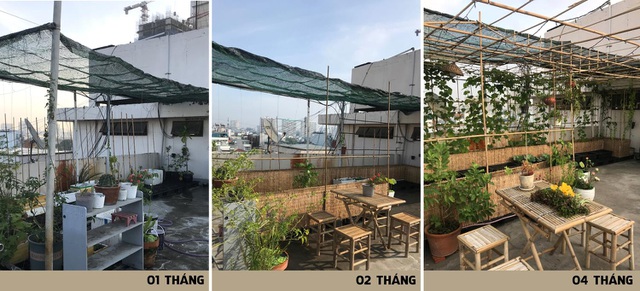 Sân thượng có diện tích 70m2, được chia thành khu trồng các loại cây thân leo và khu trồng rau canh tác ngắn ngày, nhanh cho thu hoạch.