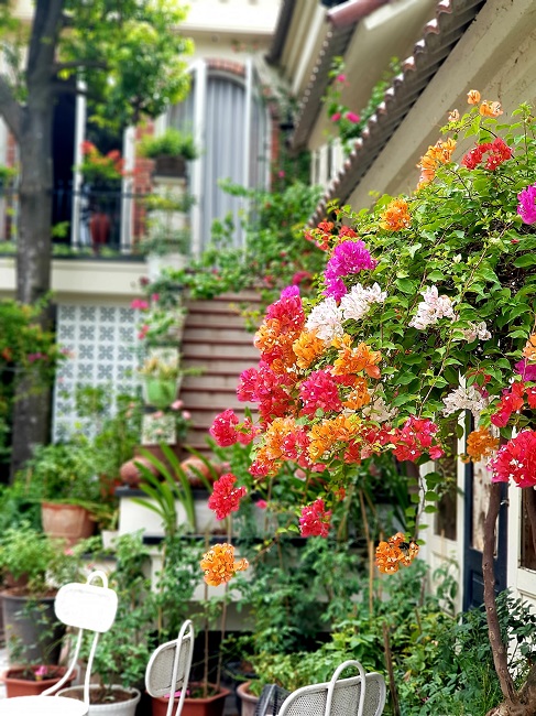  Xung quanh căn nhà được trồng và trang trí đủ loại cây cảnh và hoa cỏ nhiều màu sắc.